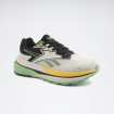 Кросівки чоловічі Reebok ANYELA BOLD