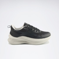 ANES RUN I
