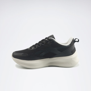 ANES RUN I