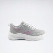 Женские кроссовки Reebok ANES RUN I
