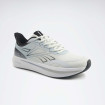 Чоловічі кросівки Reebok Edgewood II