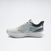 Чоловічі кросівки Reebok Edgewood II