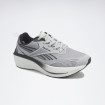 Чоловічі кросівки Reebok RUN AYS II