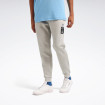Чоловічі штани Reebok CAMBLE