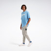 Чоловічі штани Reebok CAMBLE