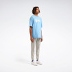 Чоловічі штани Reebok CAMBLE