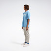 Чоловічі штани Reebok CAMBLE
