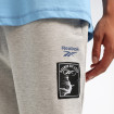 Чоловічі штани Reebok CAMBLE