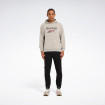 Чоловічий реглан Reebok New Identity Stacked L
