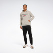 Чоловічий реглан Reebok New Identity Stacked L