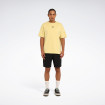 Мужские шорты Reebok CUMMING