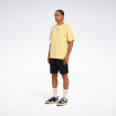 Мужские шорты Reebok CUMMING