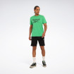 Футболка Reebok New Identity Stacked L