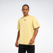 Чоловіча футболка Reebok FANCO