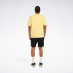 Чоловіча футболка Reebok FANCO