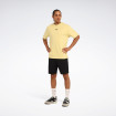 Чоловіча футболка Reebok FANCO