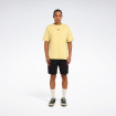 Чоловіча футболка Reebok FANCO