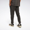 Мужские брюки Reebok ANTHE