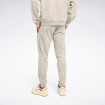 Чоловічі штани Reebok ANTHE