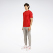 Мужская футболка Reebok BB 1895