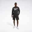 Мужской реглан Reebok Identity Big Logo