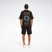 Мужская футболка Reebok RUSSEL