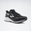 Кроссовки Reebok Daft-Trail W