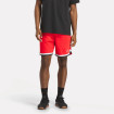 Баскетбольные шорты Reebok Basketball Transition