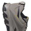 Мужские кроссовки Reebok Ridgerider 6