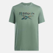 Мужская футболка Reebok Identity Motion Printed