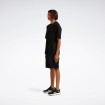 Мужские шорты Reebok DOLPHY
