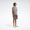 Мужские шорты Reebok DOLPHY