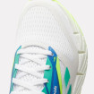 Женские кроссовки Reebok FloatZig 1 W