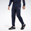 Спортивні штани Reebok Identity Vector Knit