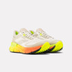 Мужские кроссовки Reebok FloatZig Adventure 1
