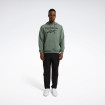 Худі Reebok Identity Big Logo