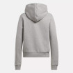 Identity Small Logo Fleece W