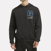 Чоловічий реглан Reebok Chenile