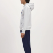 Чоловічий реглан Reebok Chenile