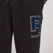 Чоловічі штани Reebok Chenile