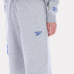 Флісові штани Reebok Triple Boucle Big Logo W