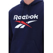 Чоловічий реглан Reebok Trent 2 Color Logo