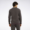 Чоловічий реглан Reebok Tukan